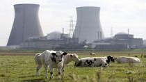  آرام برس : داعش تقتل حارس محطة كهربائية نووية في بلجيكا وتستحوذ بطاقته الالكترونية لتنفيذ تهديدها بتفجير المحطة النووية