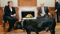  آرام برس : بوتين يعتذر لميركل عن إخافتها بالكلبة "كوني"!